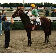 Jockey - Tim Wilson Tim Wilson Newmarket Trainer